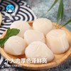 海鲜世家冷冻扇贝柱净重450g 65-80粒 瑶柱 生鲜火锅烧烤食材海鲜生鲜贝类 商品缩略图4