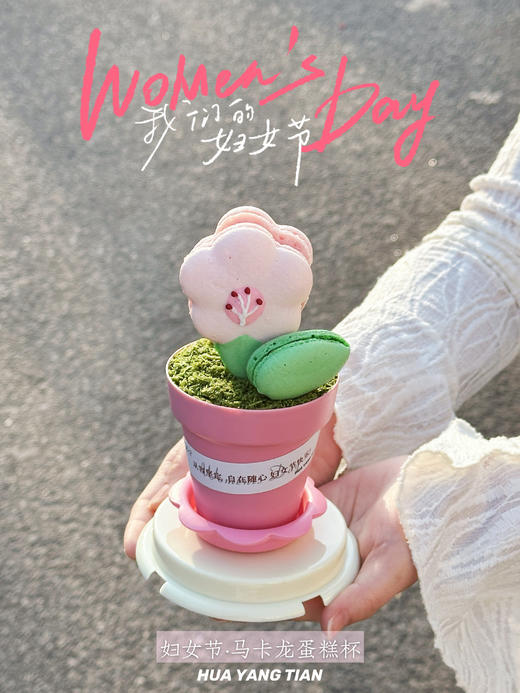 花之语·马卡龙盆栽蛋糕 商品图1