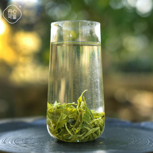 25年新茶高山云雾绿茶一盒50g装丹心可鉴明前绿茶 商品图4