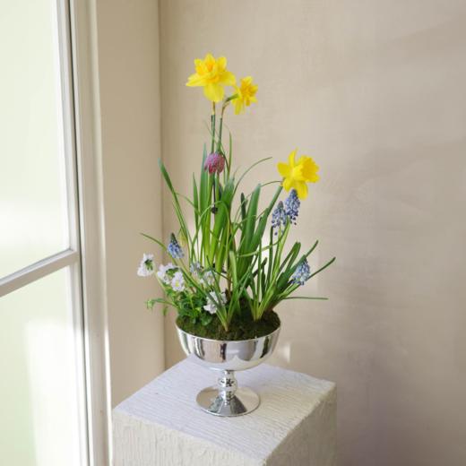 春野书签 Primerole 商品图1