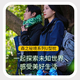 Feliztrip斐利斯 森之秘境慢弹记忆棉U枕搭飞机高铁午睡神器防菌网纱可拆洗外套 TR-P223