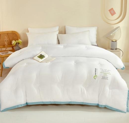 洁丽雅 抗菌大豆春秋被 春日 商品图0