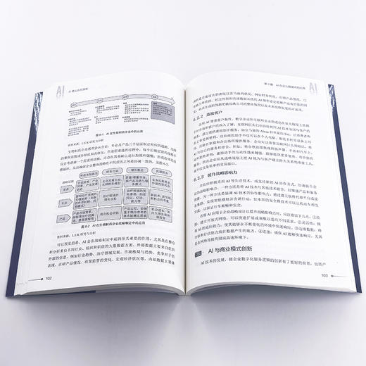 AI商业应用落地 商品图3