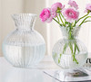【双色3种规格可选】娜家圆球形轻奢高级感玻璃花瓶 商品缩略图0