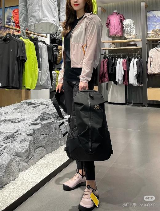 鸟 Arro 22 Backpack金色刺绣双肩背包 Z-15057 商品图6