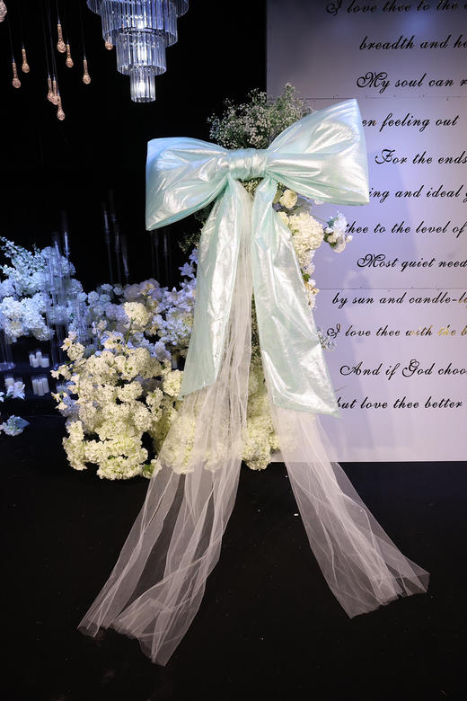 公主蝴蝶结（运费自理） 商品图6