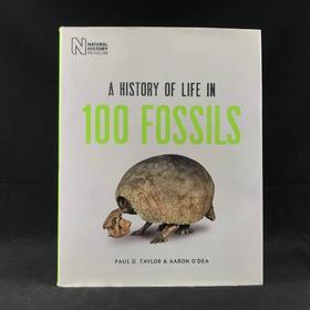 一百块化石中的生命史 百余幅彩色插图 精装16开