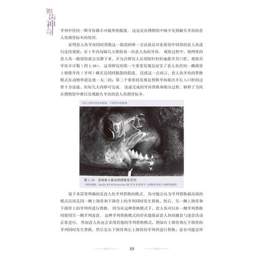 如齿神奇 周建译 口腔护理方法 牙齿的结构与功能 口腔健康指南 常见口腔问题 口腔基础医学 9787523519134科学技术文献出版社 商品图3