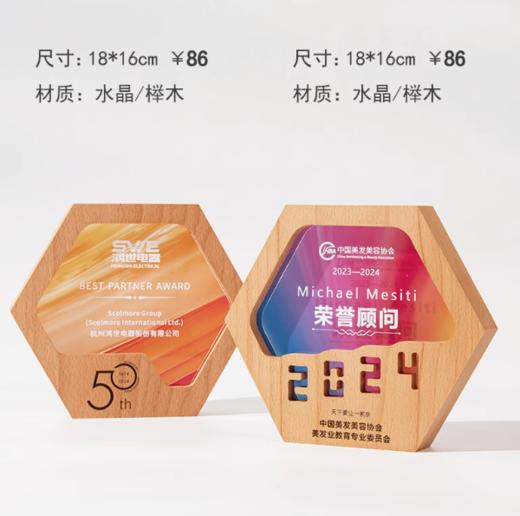 实木水晶奖杯定制创意奖杯 商品图0