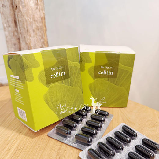 【畅通脑经络  补充脑营养  根源养脑】银杏胶囊90粒 捷克 ENERGY安能聚 商品图0