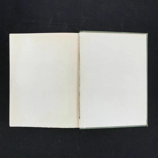 1920年 林地居民喜剧 8幅彩色插图 漆布精装18开 商品图13