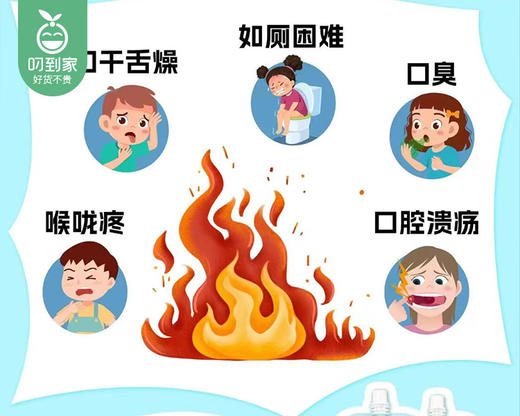 金豆芽金银花柚子汁/1箱（100ml*13包）生产日期：4月10日 商品图2