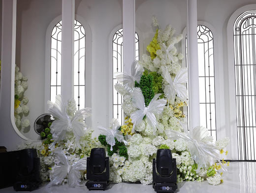 荧光蝴蝶3件套（运费自理） 商品图8