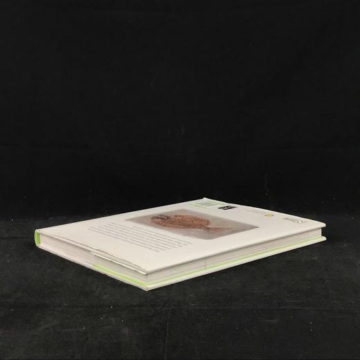 一百块化石中的生命史 百余幅彩色插图 精装16开 商品图2