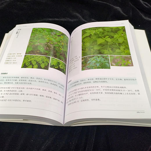 600种郊野植物图鉴-分销 商品图3