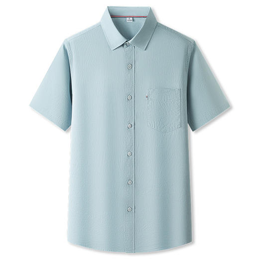 【100%棉】【DKP】大依优型大码条纹短袖衬衫男加肥加大码上衣胖子休闲棉半袖衬衣夏季薄款 商品图4