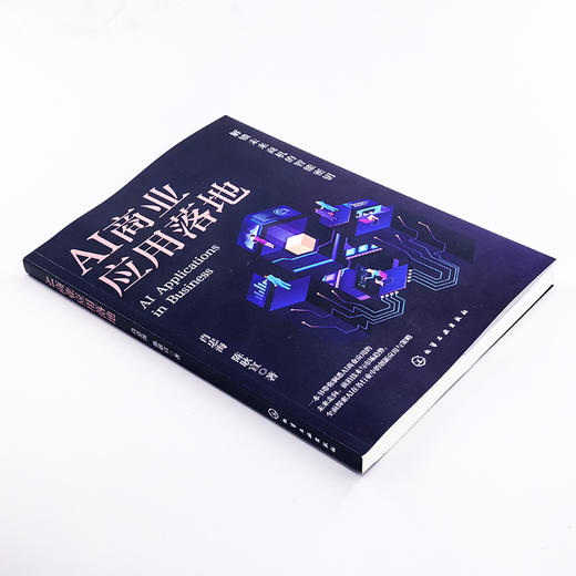 AI商业应用落地 商品图1