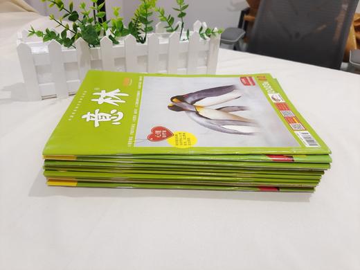 19.8元到手10册随机《意林》过刊，一本不到2块钱，太划算了！ 商品图1