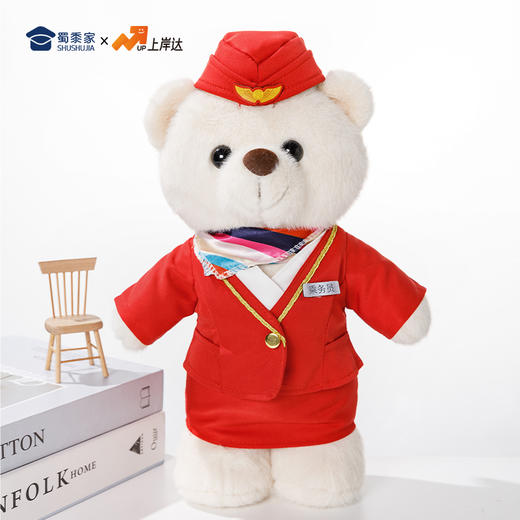 【机长&空姐站姿熊】可定制创意毛绒职业小熊公仔儿童玩具服装可脱送礼礼物 商品图9