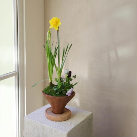 春野书签 Primerole 商品图2