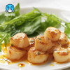 海鲜世家冷冻扇贝柱净重450g 65-80粒 瑶柱 生鲜火锅烧烤食材海鲜生鲜贝类 商品缩略图1