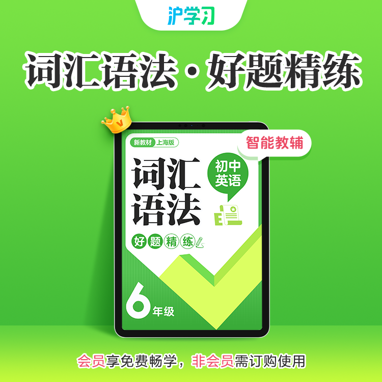 考点精练 | 词汇语法·好题精练