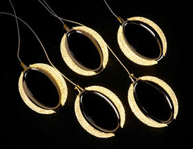 SP-21-5头灯串（运费自理）