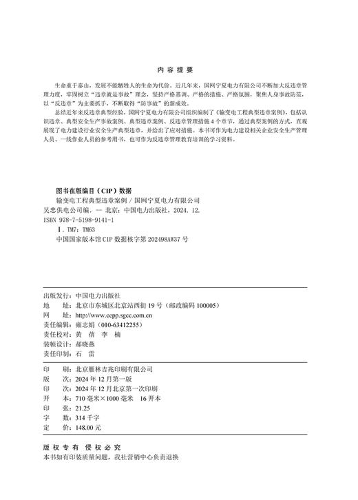 输变电工程典型违章案例 商品图3