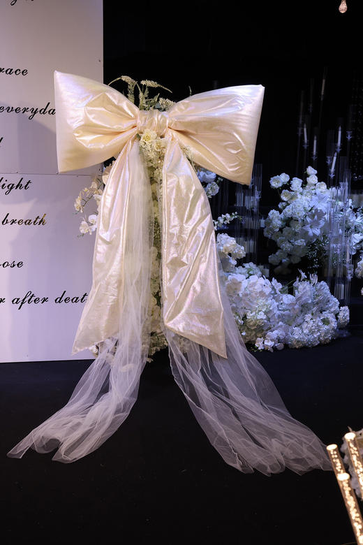 公主蝴蝶结（运费自理） 商品图4