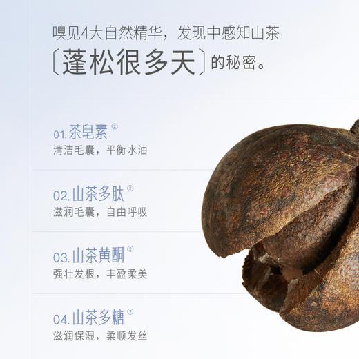 青彩山茶氨基酸精油洗发水300ml /青彩山茶五重精油护发乳300ml  803 商品图9