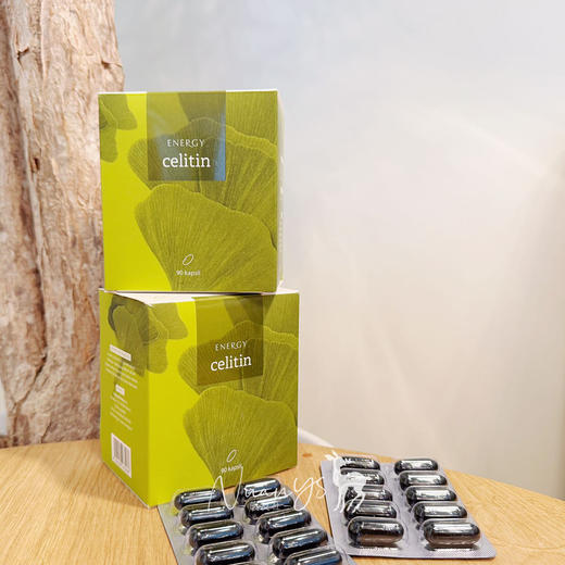 【畅通脑经络  补充脑营养  根源养脑】银杏胶囊90粒 捷克 ENERGY安能聚 商品图2