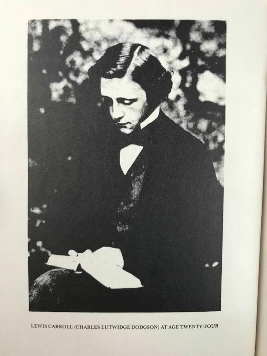 刘易斯·卡罗尔全集 数百幅插图 精装大32开 商品图2