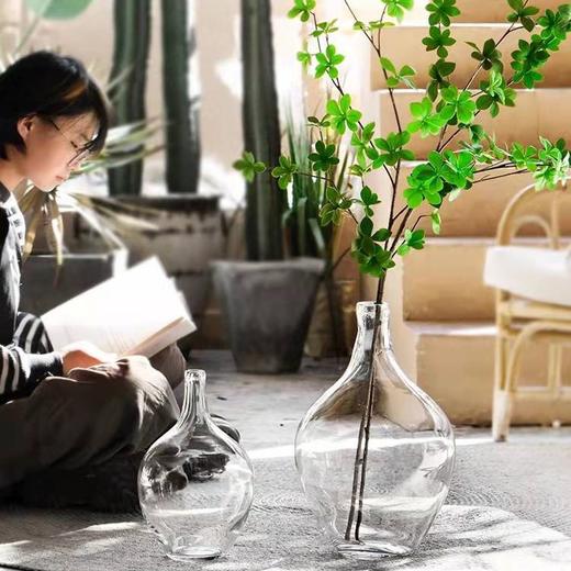 【双色8种规格可选】娜家美式乡村玻璃花瓶 商品图2