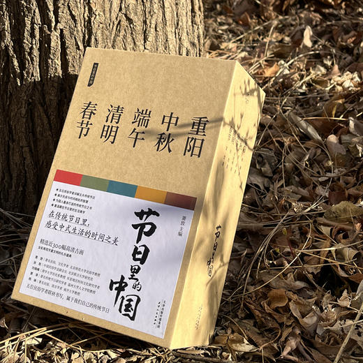 节日里的中国（全五册）：春节、清明、端午、中秋、重阳 商品图2