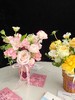宠爱自己 · 瓶插花 （含陶瓷花盆） 商品缩略图2