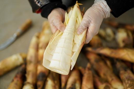 【分仓直发包邮】天目山雷笋3斤（特级大笋）（9根左右） 商品图3