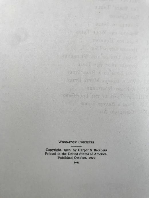 1920年 林地居民喜剧 8幅彩色插图 漆布精装18开 商品图4