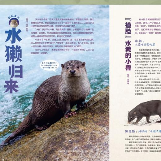 《博物》 自然人文综合知识类杂志 已更新至2025年十二月刊（第12期）《中国国家地理》青春版 科普百科 商品图1