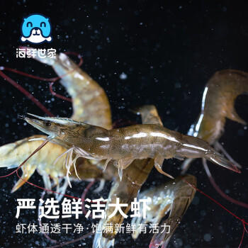 海鲜世家翡翠青虾仁 去冰净重2斤 156-198只  聚餐家庭生鲜海鲜虾类 商品图2