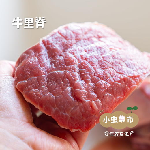 甘肃生态黄牛肉 5斤 | 合作农友生产，来自甘肃庆阳，生产者：吴龙龙 *【公平贸易农人定价】 商品图8