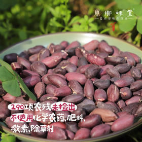 生态黑皮花生米（成都仓库-顺丰快递 ）｜400g/袋，来自河北唐山，生产者：张振【合作生产，公平贸易】