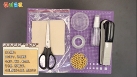 2025年3月 看植物根的“生长记”