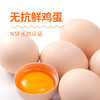 圣迪乐无抗鲜鸡蛋20枚【圣迪乐】JCT 商品缩略图2