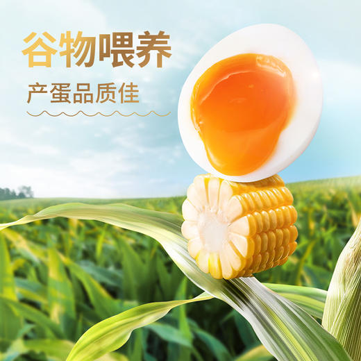圣迪乐无抗鲜鸡蛋20枚【圣迪乐】JCT 商品图3