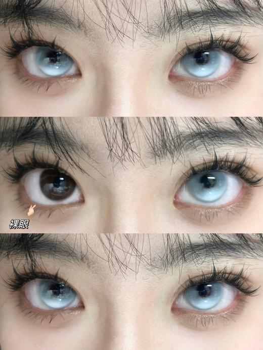 EggUncle Lens旗下 · 浮游试验体&失眠气泡水&水母培养皿｜14.5mm白狮参考着色大直径 半年抛 2片 商品图6