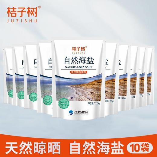 【分仓直发包邮】桔子树自然海盐225g/袋*10袋 商品图0
