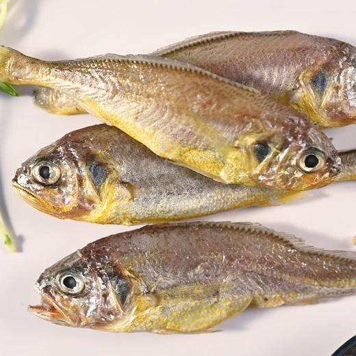 每日伊藤冷冻小黄鱼400g 商品图3