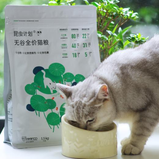 昆虫计划宠物粮·猫粮&猫罐头 商品图0