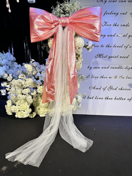 公主蝴蝶结（运费自理） 商品图3