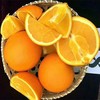 [最农公社]主推|秭归伦晚脐橙5斤9斤多汁鲜甜细嫩 商品缩略图2